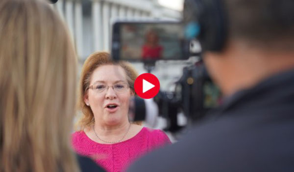 Constitution Day Hightlight