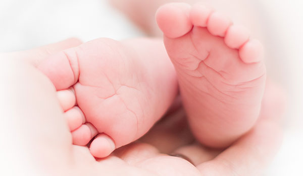 Florida Moms for America Supports SB 146